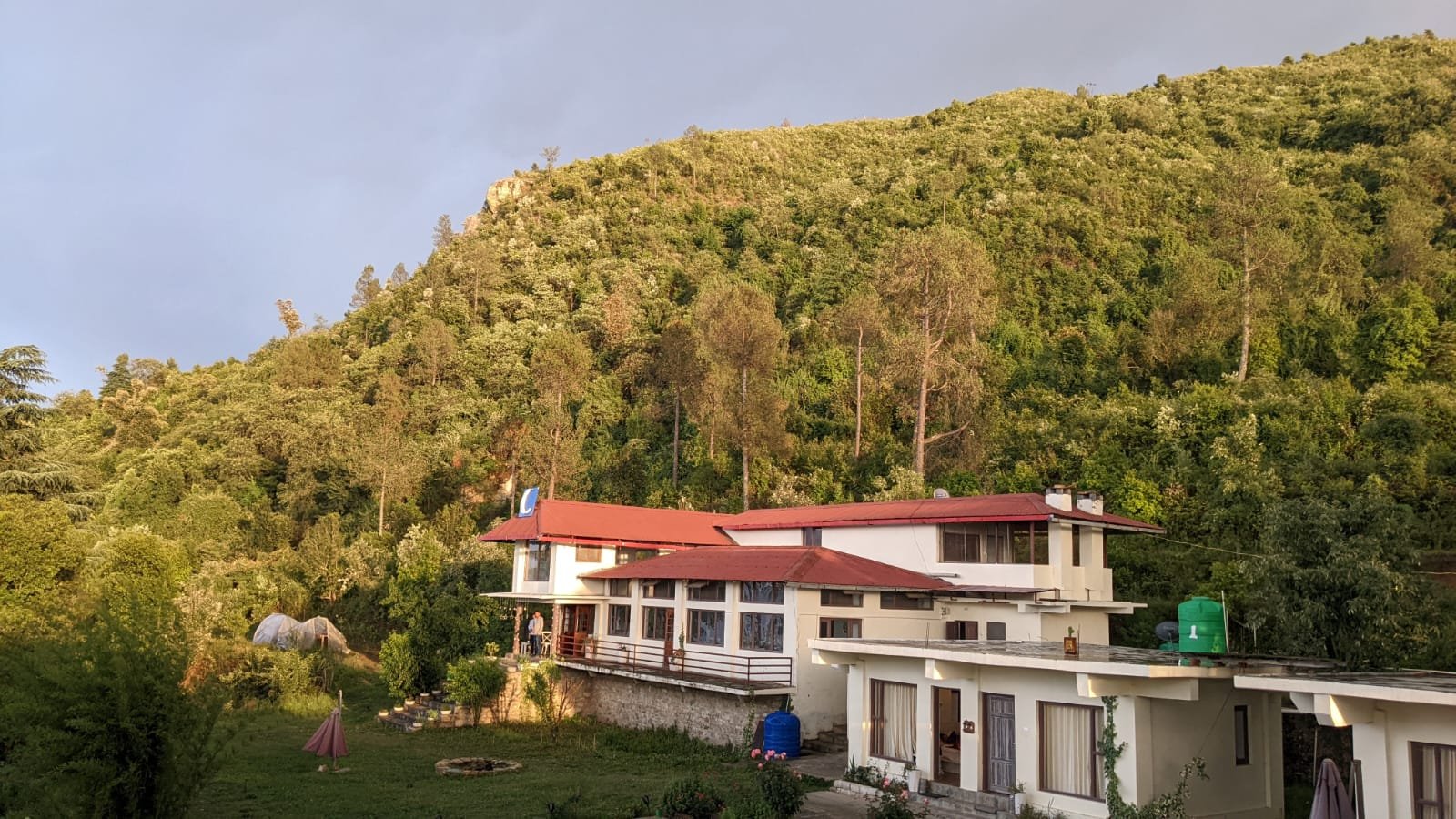 Property surrounded by jungle photo